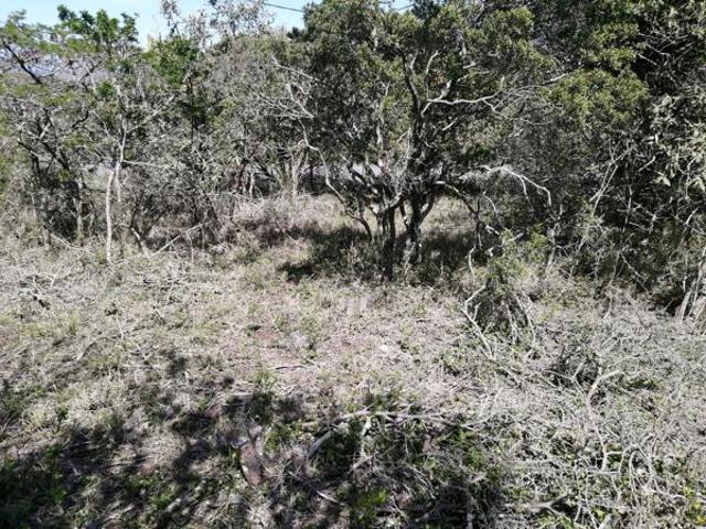 Land for sale in Amathole District Municipality, Eastern Cape
