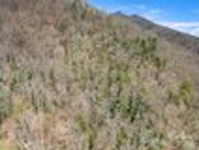 House for sale in Haywood, North Carolina