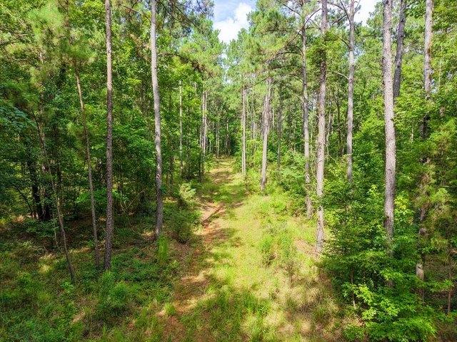 Land for sale in Kennard, Texas