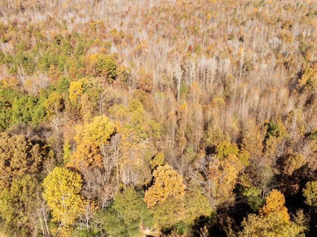 Land for sale in Tennessee