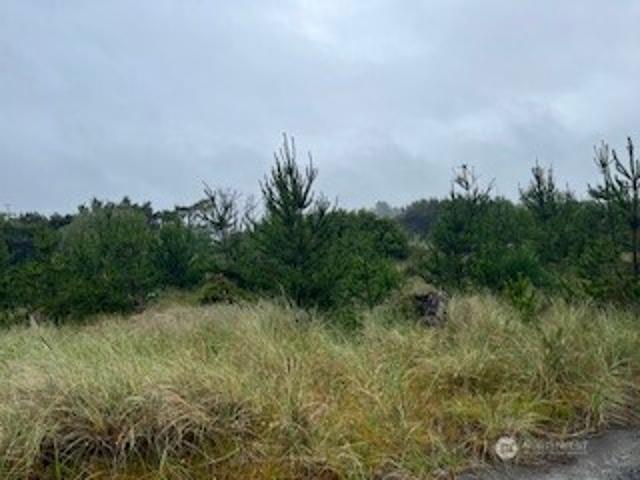 Land for sale in Ocean Park, Washington