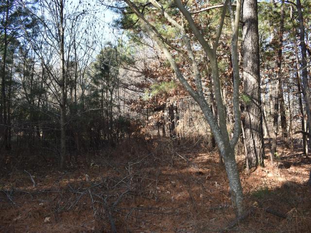 Property for sale in Durham, North Carolina