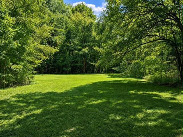 House for sale in Polk, Texas