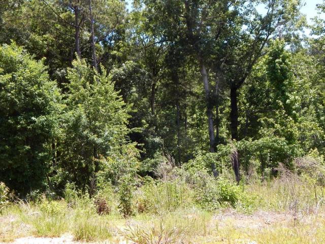Land for sale in Grenada, Mississippi