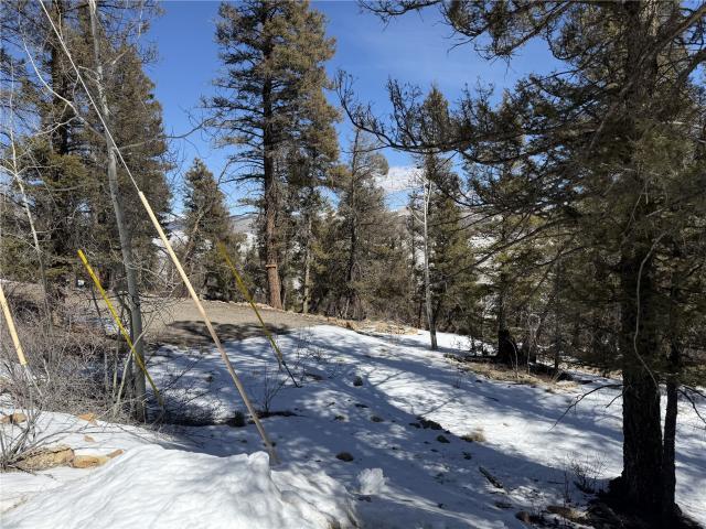 Land for sale in Fairplay, Colorado