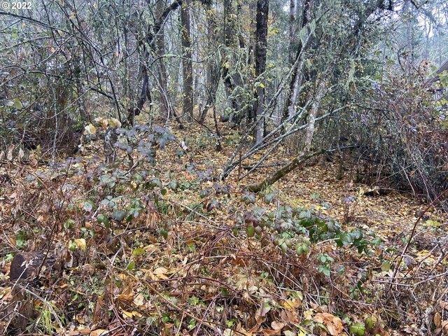 Land for sale in Eugene, Lane County
