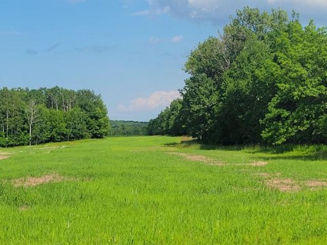 Land for sale in Mason, Wisconsin