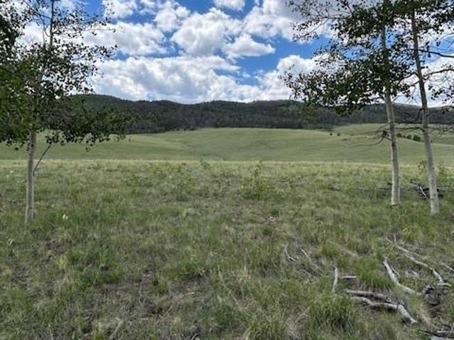 Land for sale in Hartsel, Park County