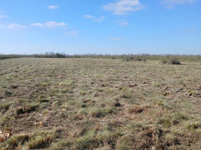 Land for sale in Angleton, Texas