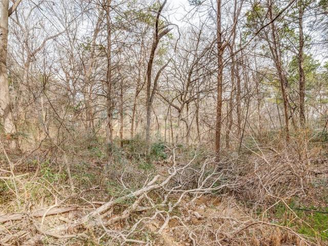 Land for sale in Cedar Hill, Texas