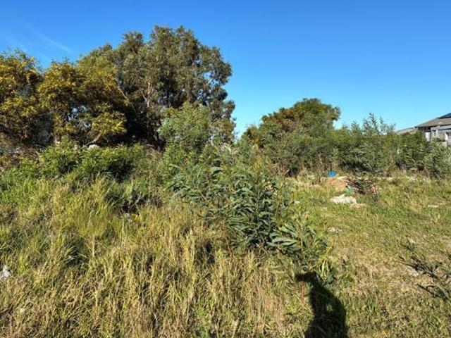 Land for sale in Eastern Cape