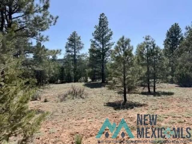 Land for sale in Ramah, New Mexico