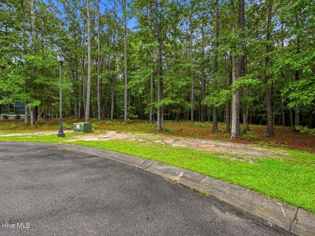 Land for sale in Bolivia, Brunswick County