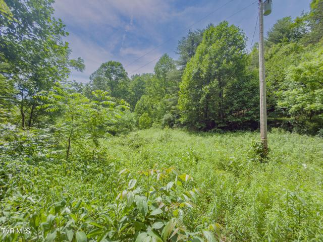 Land for sale in Tennessee