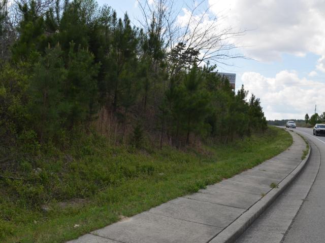 Land for sale in Tennessee