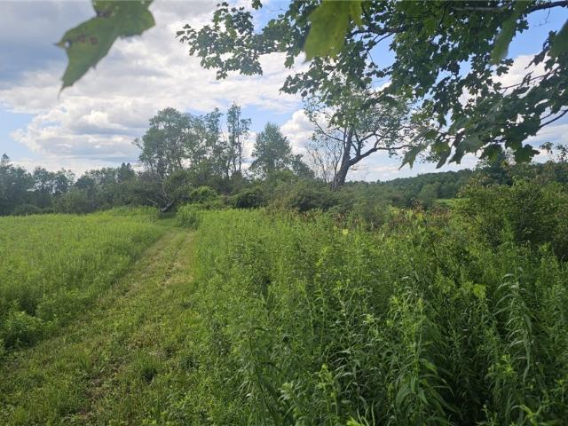 Land for sale in Oneida, New York