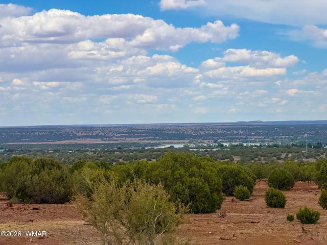Land for sale in Navajo, Arizona