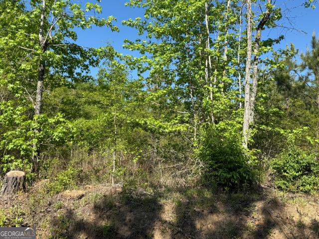 Land for sale in Mitchell, Georgia