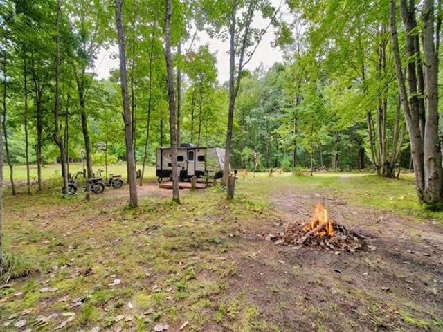 Land for sale in Copemish, Michigan