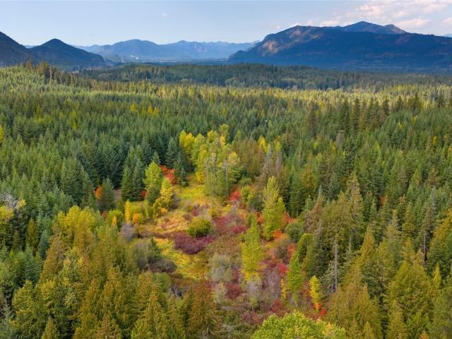 Land for sale in Cle Elum, Washington