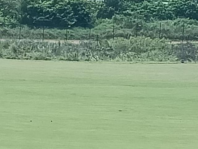 Land for sale in Ballito, KwaDukuza Local Municipality