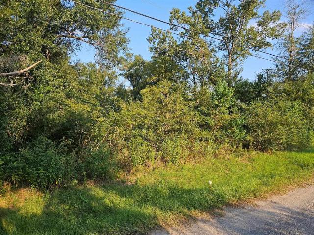 Land for sale in Dequincy, Louisiana