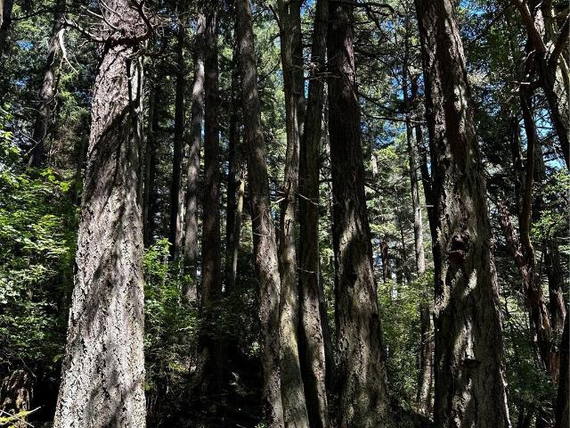 Land for sale in Eastsound, Washington