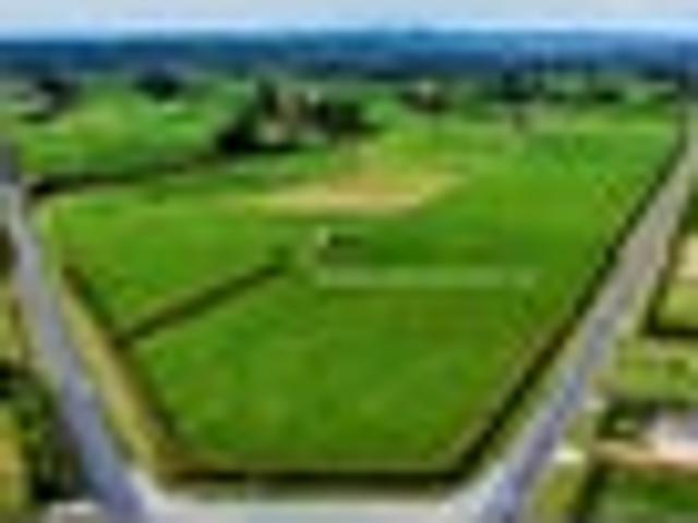 Land for sale in Taranaki