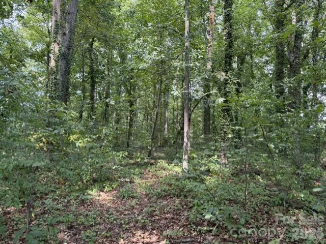 Land for sale in Catawba, North Carolina