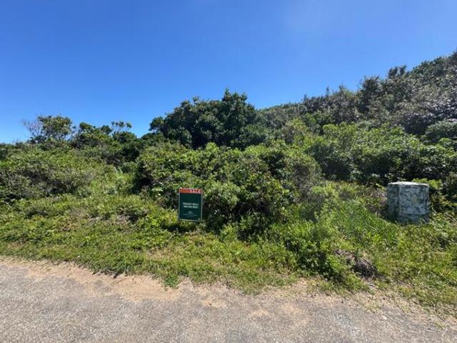 Land for sale in Alexandria, Ndlambe Local Municipality