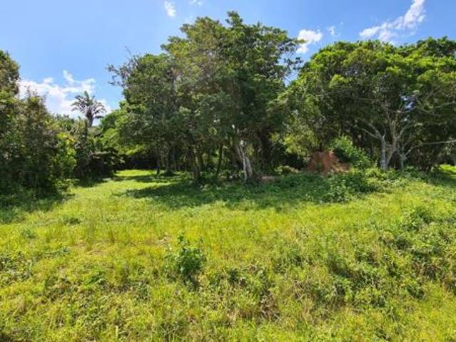 Land for sale in Amathole District Municipality, Eastern Cape