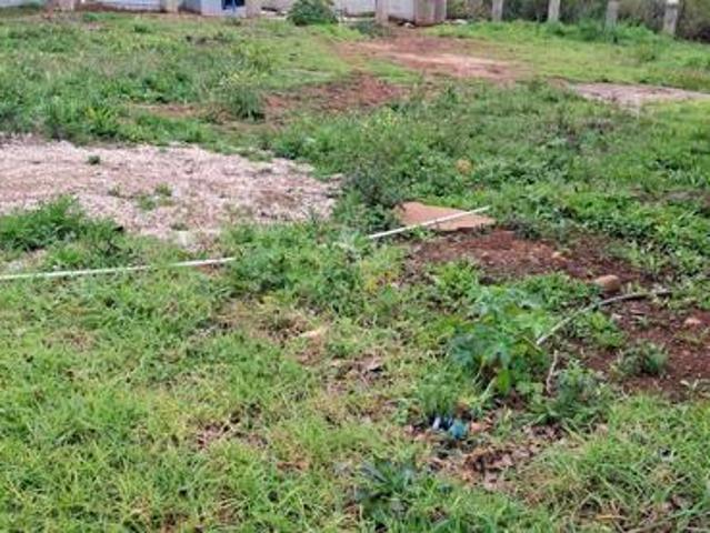 Land for sale in Cape St Francis, Eastern Cape