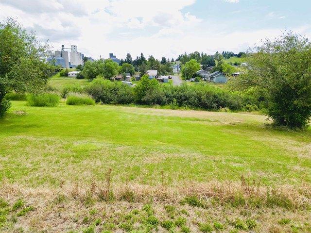 Land for sale in Cottonwood, Idaho