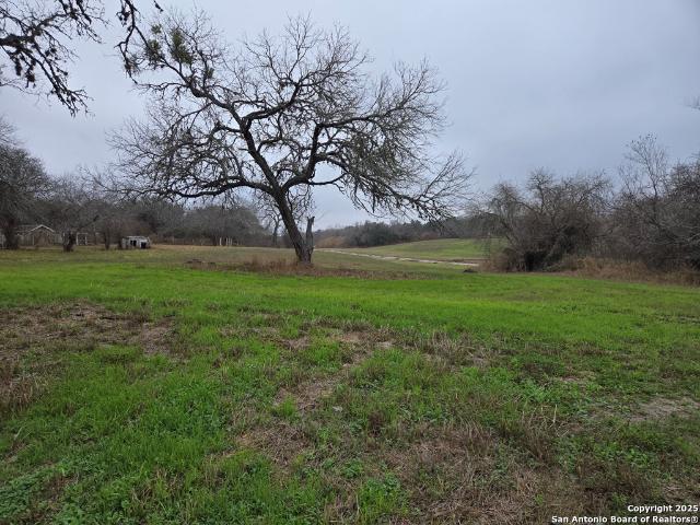 Land for sale in Bee, Texas