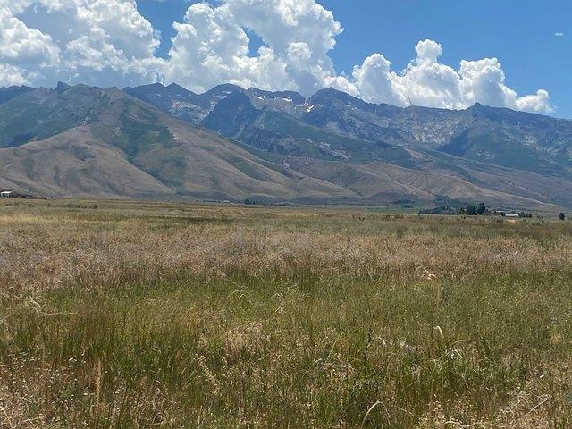 Land for sale in Lamoille, Nevada