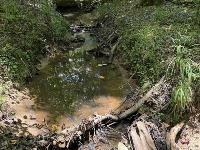Land for sale in Talbot, Georgia