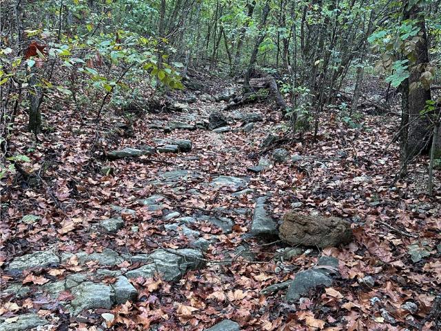 Land for sale in Berryville, Carroll County