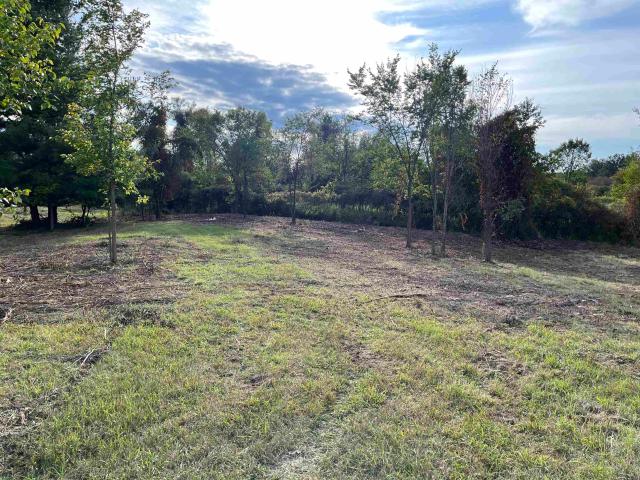 Land for sale in Gladwin