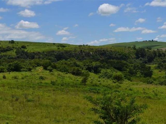 Land for sale in Richmond Local Municipality, uMgungundlovu District Municipality