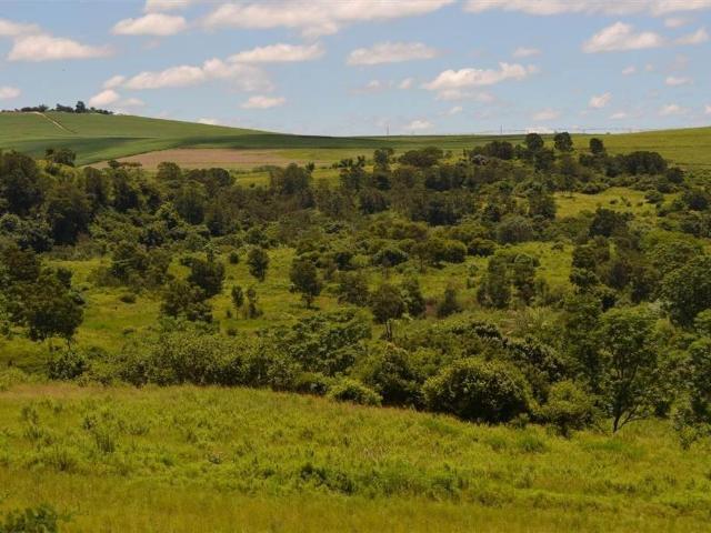 Land for sale in Umgungundlovu, Kwazulu-natal