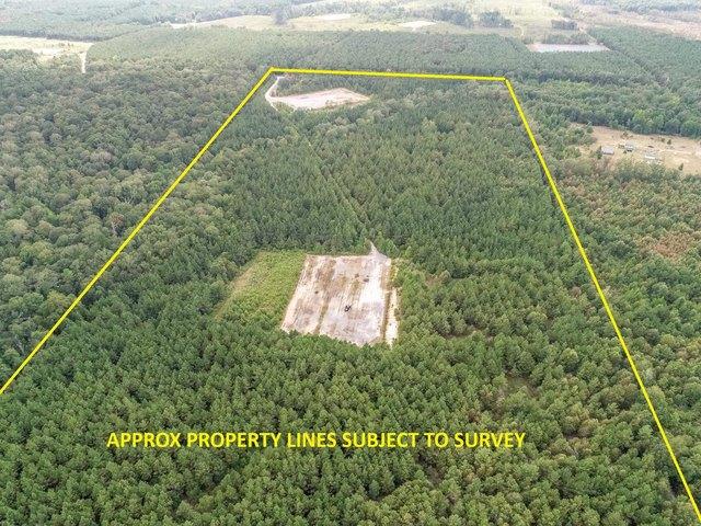 Land for sale in Panola, Texas