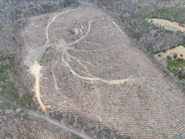 Land for sale in Congo, Cedar Bluff