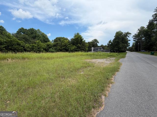 Land for sale in Turner, Georgia