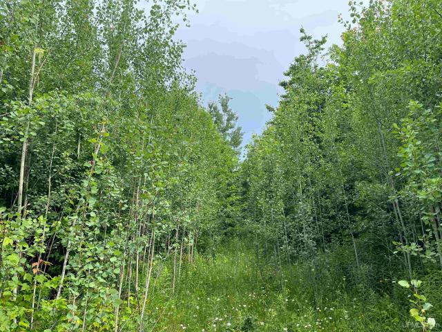 Land for sale in Michigan