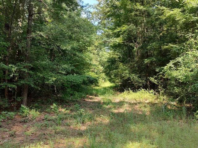 Land for sale in Ark
