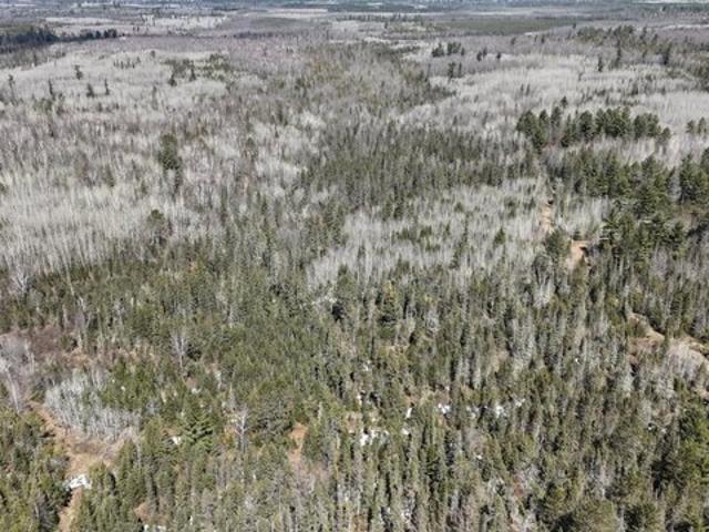 Land for sale in Tomahawk, Wisconsin