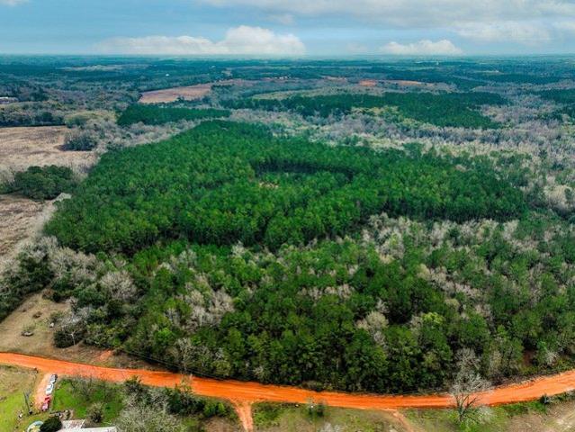 Land for sale in Geneva, Alabama