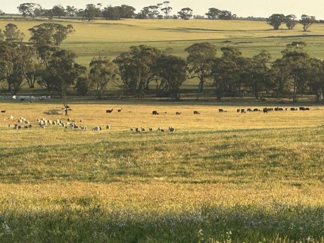 Land for sale in Mumberkine, Western Australia