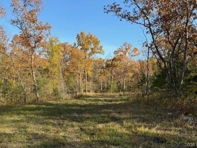 Land for sale in Lincoln, Missouri