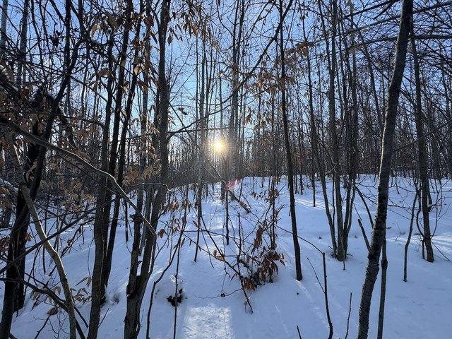 Land for sale in Mio, Michigan